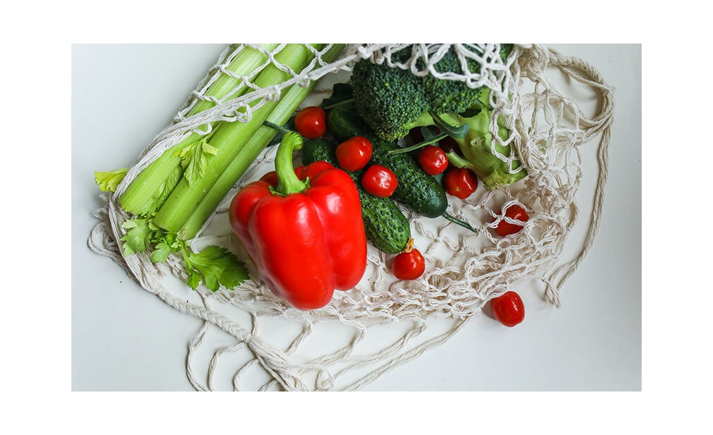 Ipsum cursus vestibulum at interdum Vivamus